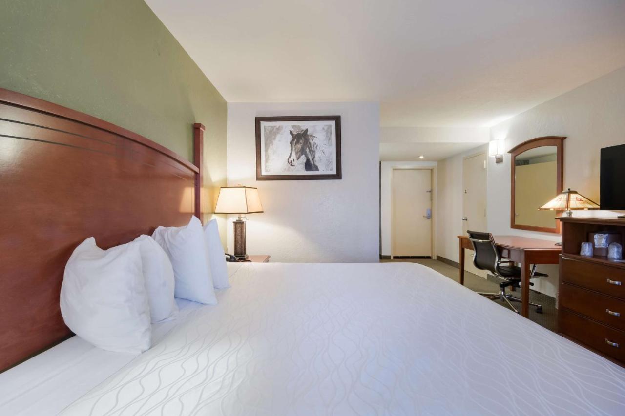 Surestay Plus By Best Western Lawton Esterno foto